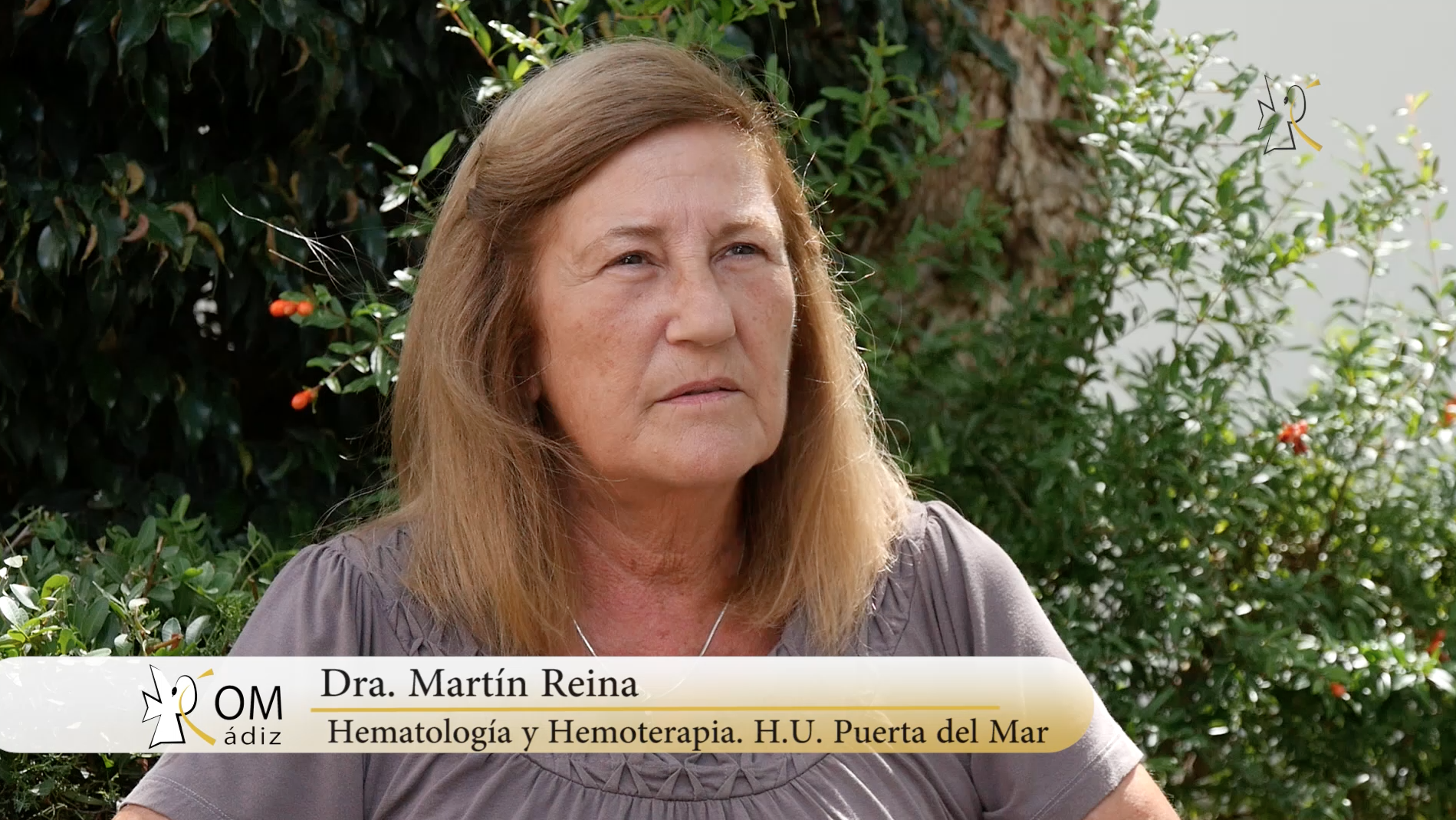 Consejos del Médico: Día Mundial del Donante de Médula Ósea