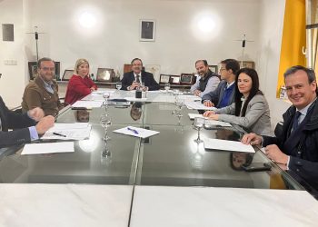 Los colegios sanitarios andaluces abordan la publicidad sanitaria y las tasas administrativas