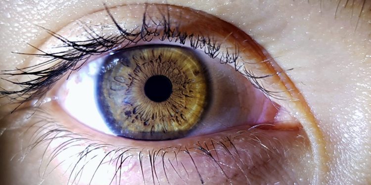 Ojo a la documentación clínica del consentimiento informado