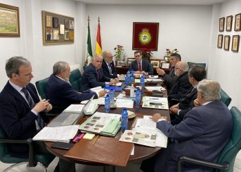 Comunicado del Consejo Andaluz de Colegios de Médicos sobre Medicina Privada