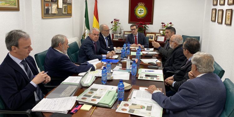 Comunicado del Consejo Andaluz de Colegios de Médicos sobre Medicina Privada