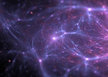 AUSENCIAS. 13 de febrero de 2023, Día Internacional de la Epilepsia