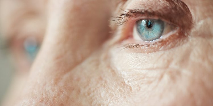 La luz. 13 de marzo, Día Mundial del Glaucoma