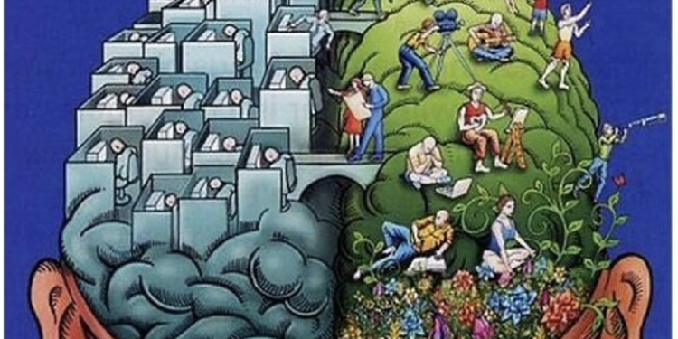 Fábula del cerebro y el apéndice