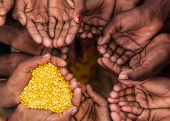 Una de cada tres personas está desnutrida en África