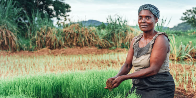 La AECID subvenciona más de 120 iniciativas de cooperación y acción humanitaria en todo el mundo en 2023