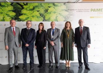 Expertos de la OMS y representantes de la profesión médica de Europa y Latinoamérica reclaman a los Gobiernos la responsabilidad de proteger la salud mental de los médicos