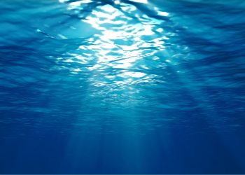 DE LOS PEORES. 16 de noviembre, Día Mundial del Cáncer de Páncreas