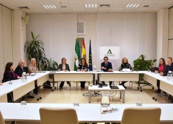 El Consejo Andaluz de Colegios de Médicos mantiene una nueva reunión con la Consejera de Salud