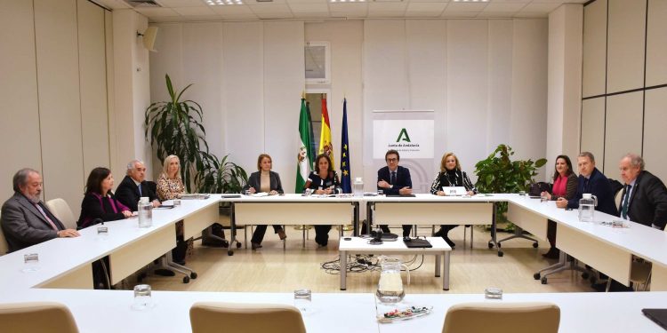 El Consejo Andaluz de Colegios de Médicos mantiene una nueva reunión con la Consejera de Salud