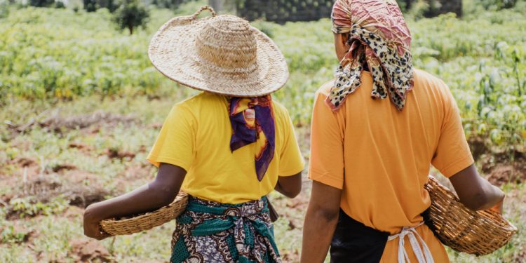‘Nuestra salud, nuestro derecho’. El COMCADIZ, con el Día Mundial de la Salud