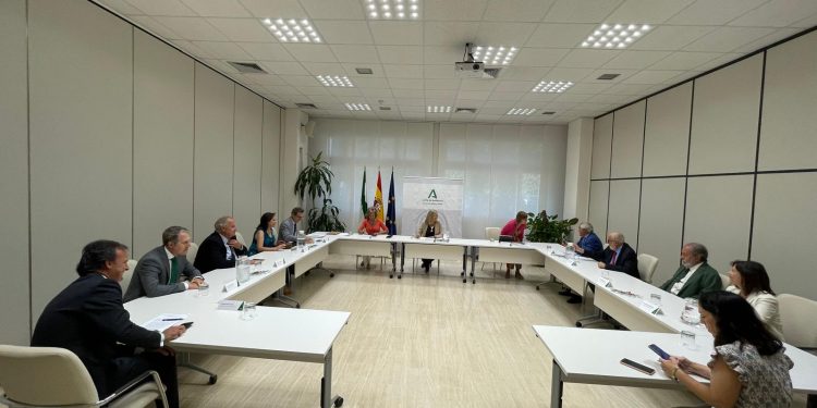 Los médicos andaluces mantienen un primer encuentro con la consejera de Salud