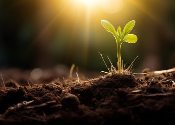 PANGEA. 22 de abril de 2025, Día Mundial de la Tierra