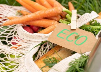 Cercana y saludable. 18 de junio, Día Mundial de la Gastronomía Sostenible.