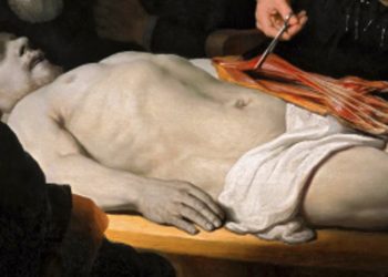 La mirada curiosa: lección de anatomía del Dr. Nicolaes Tulp
