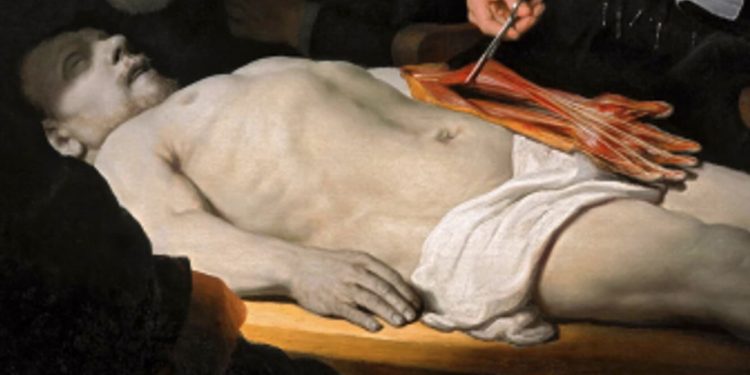 La mirada curiosa: lección de anatomía del Dr. Nicolaes Tulp