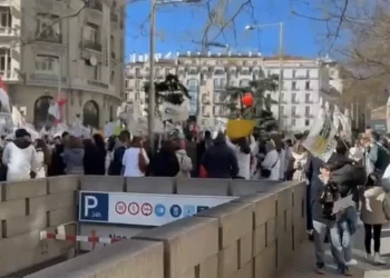 El COMCADIZ se sumó en Madrid a los miles de médicos y facultativos para reclamar un estatuto propio