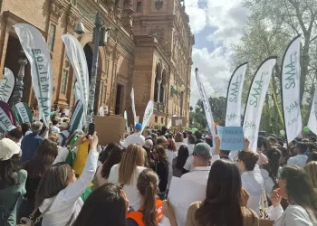 18-M: Más de 2.000 facultativos de Andalucía llevan a Sevilla la demanda de un Estatuto Marco propio