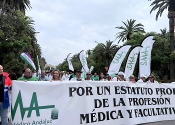 El COMCADIZ facilitó la asistencia de los colegiados a la manifestación autonómica celebrada en Málaga