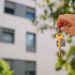 ¿Dispones de una vivienda en alquiler? Colabora con el Colegio para ofrecer alojamiento a los nuevos residentes